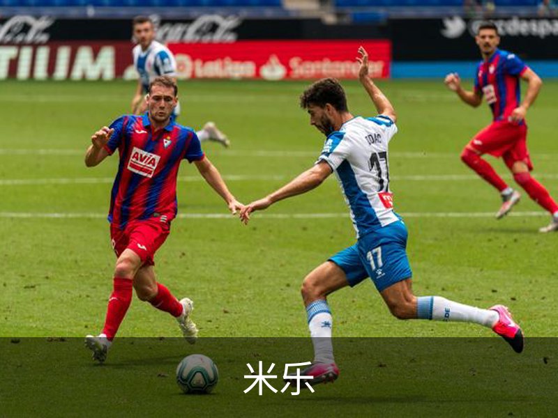 了解米乐